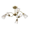 Светильник потолочный Lumion IMANA 8154/6C