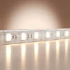 Светодиодная лента Maytoni Led Strip 201187