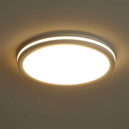 Потолочный светильник Freya Руа / Rua FR6160CL-L40W