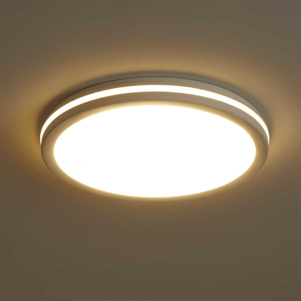 Потолочный светильник Freya Руа / Rua FR6160CL-L40W