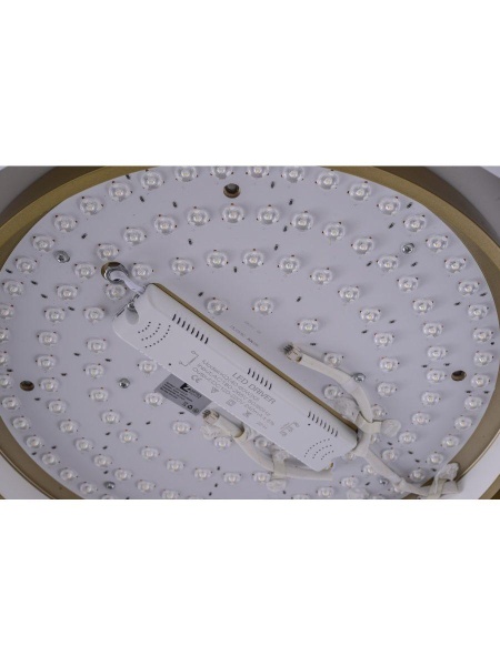 Потолочный светодиодный светильник Zortes Adel ZRS.1200.01