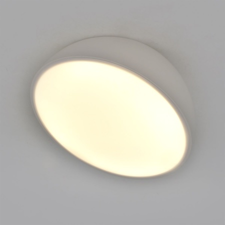 Потолочный светодиодный светильник Escada 20025SMA/01LED WH