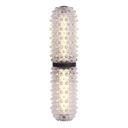 Настенный светильник ST Luce SAGUARO SL6144.401.01