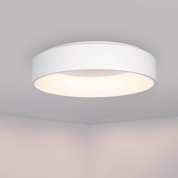 Потолочный светодиодный светильник Arlight SP-Tor-Ring-Surface-R460-33W Day4000 022134(1)