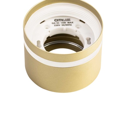 Потолочный светильник Citilux Hardy CL002C12