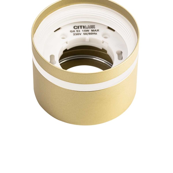 Потолочный светильник Citilux Hardy CL002C12
