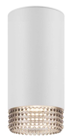 Накладной светильник ЭРА OL40 WH/GR Б0058478