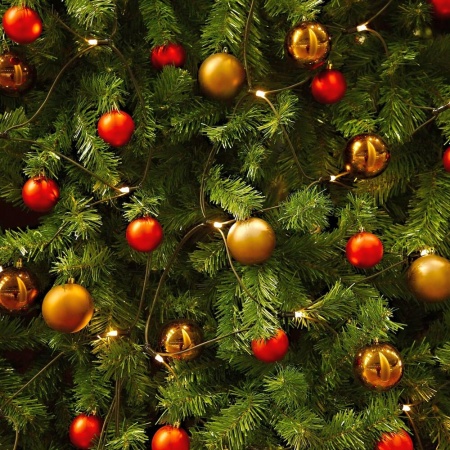 Гирлянда-сетка светодиодная Apeyron 15-56