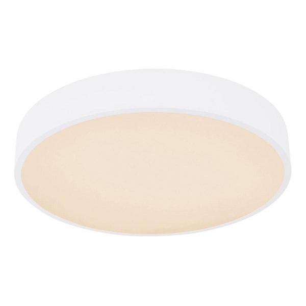 Потолочный светодиодный светильник Globo Leanara 41756-24W