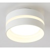 Потолочный светильник Ambrella light TN5419