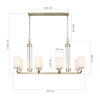 Подвесная люстра ST Luce Opalus SL1403.333.08