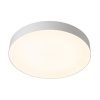 Светильник потолочный Citilux BART CL755490