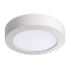Потолочный светодиодный светильник Kanlux Carsa 33534