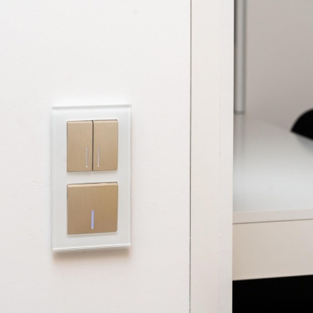 Выключатель одноклавишный с подсветкой Werkel шампань рифленый W1110110 4690389160028