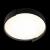 Потолочный светодиодный светильник Loft IT Coin 10200 Black