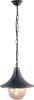 Уличный подвесной светильник Arte Lamp Malaga A1085SO-1BG
