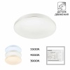 Потолочный светодиодный светильник Citilux Симпла CL71424SV
