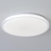 Потолочный светильник Reluce 01926-9.2-60W*2