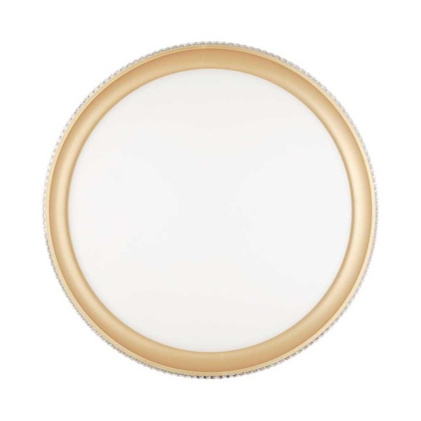 Настенно-потолочный светодиодный светильник Sonex Pale Shiny 3054/EL