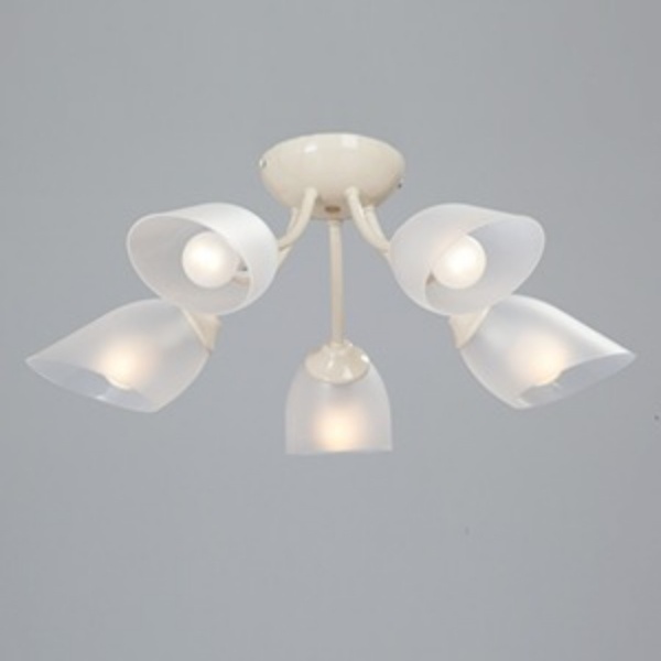 Потолочная люстра Vitaluce V3405/5PL