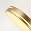 Потолочный светодиодный светильник F-Promo Pall 2745-1C