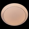 Потолочный светильник Reluce 02099-9.2-60W*2