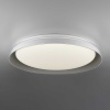 Потолочный светодиодный светильник Citilux Mega CL752451G