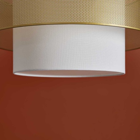 Подвесной светильник Freya Modern FR5528PL-01BS