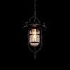 Подвесной светильник Loft IT Warehouse Loft1141