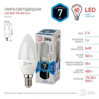 Лампа светодиодная ЭРА E14 7W 4000K матовая LED B35-7W-840-E14