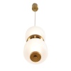 Подвесной светильник Lumion Taisha Ledio 8324/20L