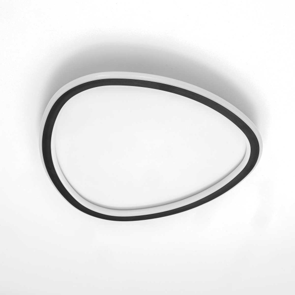 Потолочная люстра Citilux CL215B241E