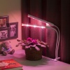 Настольная лампа ЭРА Crocus Fito-20W-Aled Б0039171 Настольная лампа ЭРА Crocus Fito-20W-Aled Б0039171