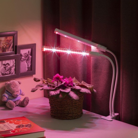 Настольная лампа ЭРА Crocus Fito-20W-Aled Б0039171 Настольная лампа ЭРА Crocus Fito-20W-Aled Б0039171