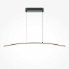 Подвесной светодиодный светильник Maytoni Light Reflection MOD243PL-L18BK