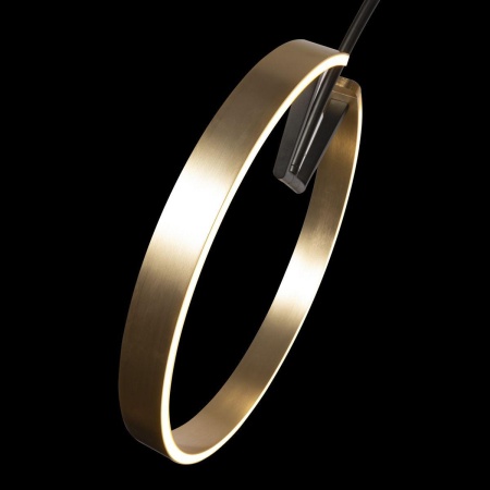 Торшер Loft IT Ring 10027 Торшер Loft IT Ring 10027