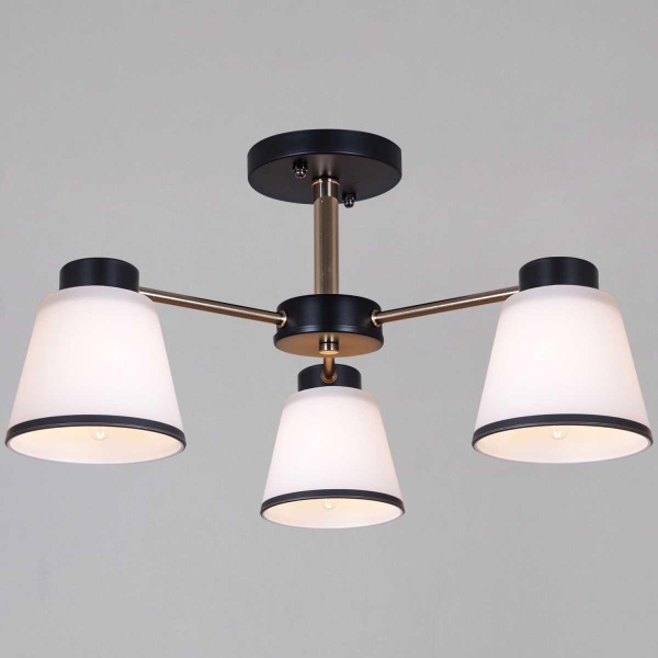 Потолочная люстра Reluce 30560-0.3-03 BK+FG