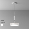 Потолочный светодиодный светильник Maytoni Zon C032CL-36W4K-RD-W