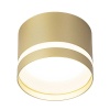 Потолочный светильник Citilux Hardy CL002C12