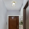 Потолочный светильник Imperium Loft Clarity B 243715-26
