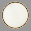 Светильник с пультом Citilux ETALON CL750501R