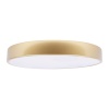 Потолочный светодиодный светильник Loft IT Flims 10228/A