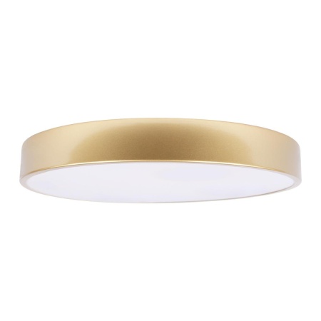 Потолочный светодиодный светильник Loft IT Flims 10228/A