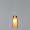Подвесной светильник Arte Lamp Leo A7027SP-1BK