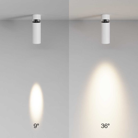 Потолочный светильник Maytoni Technical C055CL-L12W3K-SS-W