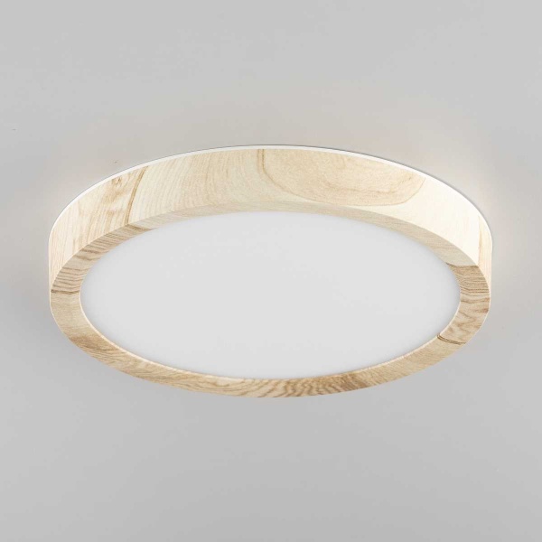 Светильник накладной Citilux Бейсик CL738122N