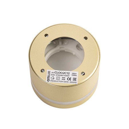 Потолочный светильник Citilux Hardy CL002C12