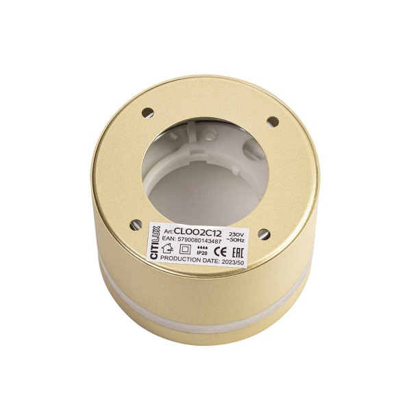 Потолочный светильник Citilux Hardy CL002C12