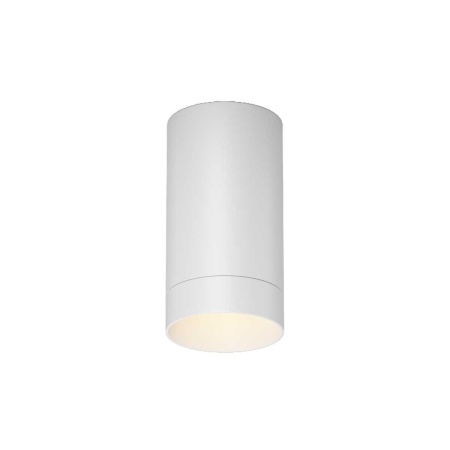Потолочный светильник Maytoni Outdoor O500CL-L5W3K