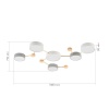 Потолочный светильник Evoluce DOSSENA SLE600102-06
